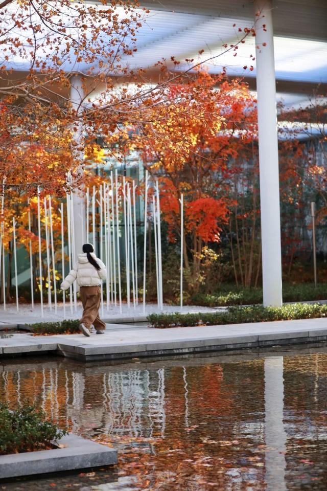 日照色彩派对开启！“美拉德”风景正当时！