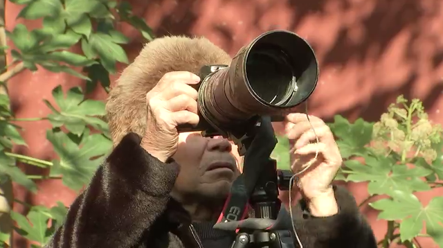 浙江冬日花海“提前营业” 赏花游激活文旅“小阳春”