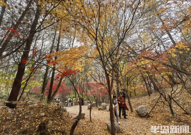 北九水网红路，周末打卡人气高！