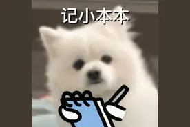 车辆“免检”≠“不用检”！忘做这件事，小心被罚！图片