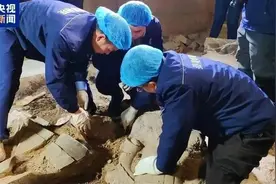 兵马俑发掘有大发现！1994年以来首个高级军吏俑图片