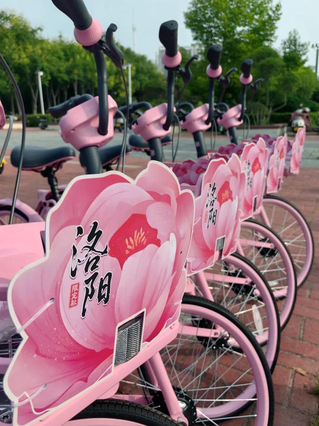 起猛了，我在洛阳被「牡丹」包围了！