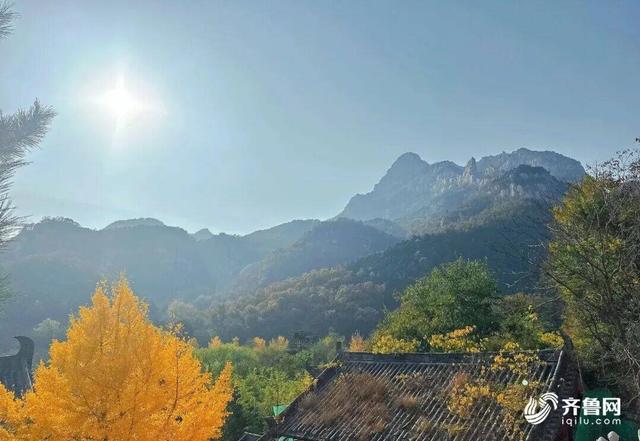 组图丨一大波美图来袭！泰山景区9个赏秋地超出片