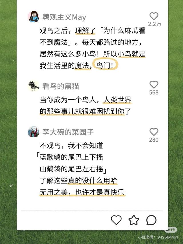 找搭子也玩抽象，00后已经不需要和人做朋友了