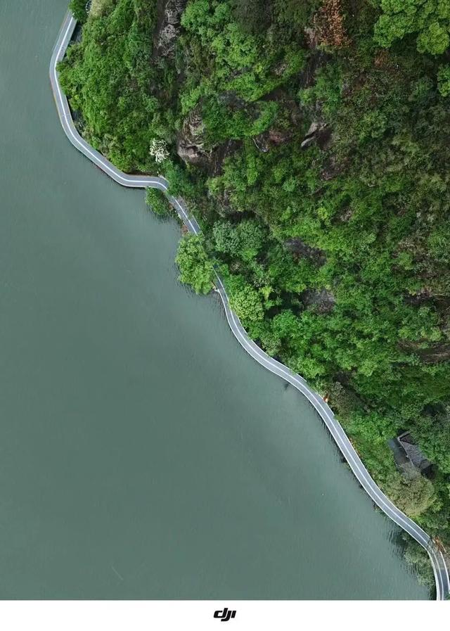今日寒露！向莲都的“绿光森林”，出发！