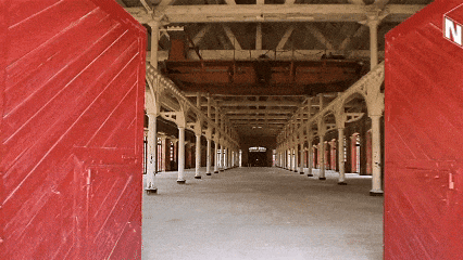 福州市2025年世界儿童日主题活动开启啦！快来预约报名→