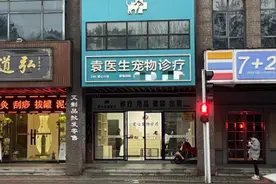 315闪耀我守护我丨花2万元给爱犬治疗后死亡，牵出一家“黑诊所”图片