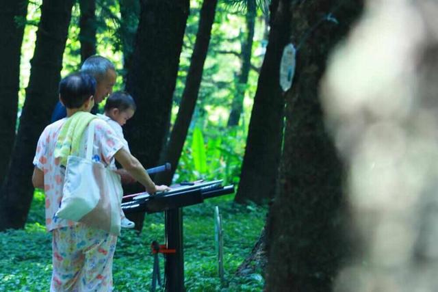 这封珠江公园的“绿色”家书中，藏着广州CBD的“四季画廊”｜信暖珠江④