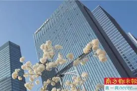 敢闯敢试的深圳 何以“善为”“敢为”图片