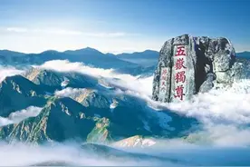 三次被退鉴，看泰安这家司法鉴定中心如何力挽狂澜？图片