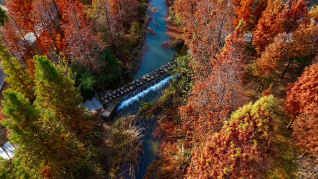 出色！洛阳这些最美场景等你解锁
