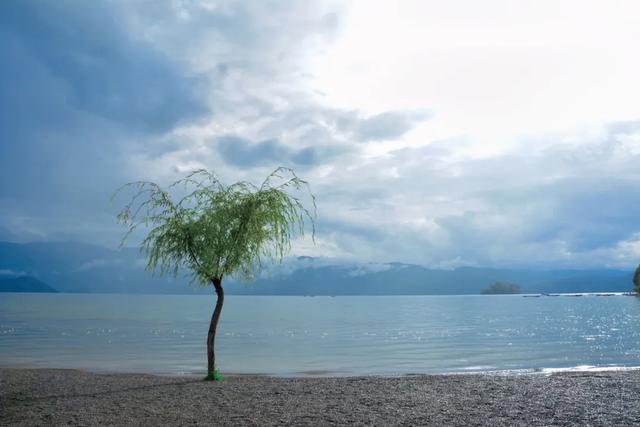 七夕，送TA一场凉山行