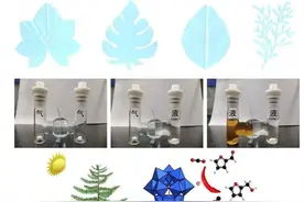 浙农林大师生研发出新型人造树叶 可提升光合作用效能，储存太阳能图片