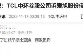 TCL中环、爱旭股份的专利之争背后：光伏周期尚未见底图片