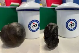 尔滨冻梨又黑又甜，为啥在冰箱冻出来的冻梨是坏的？图片