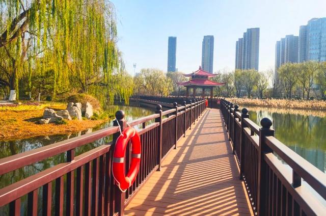 淄川这个公园“变身”完成！快来打卡！