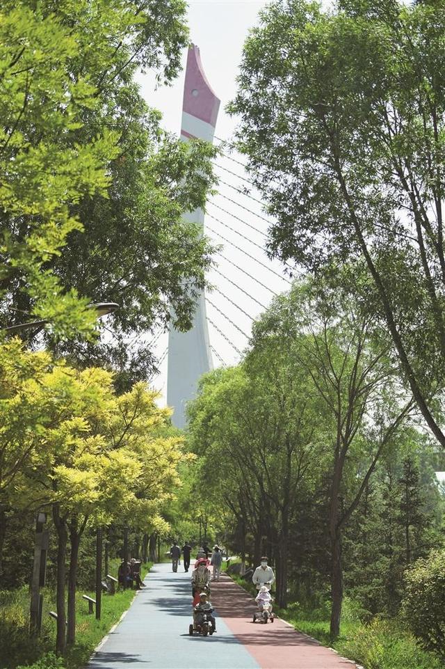 秋韵美景入画来