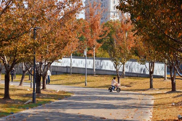 普陀·遇见新视角｜解锁专属你的氛围感大片，秋冬就来普陀这里拍→