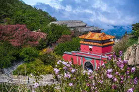 四季泰山，如诗如画图片