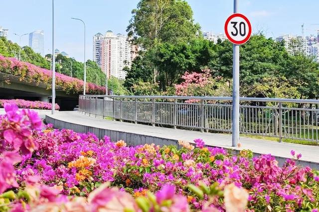 深圳知名景区紧急通知！