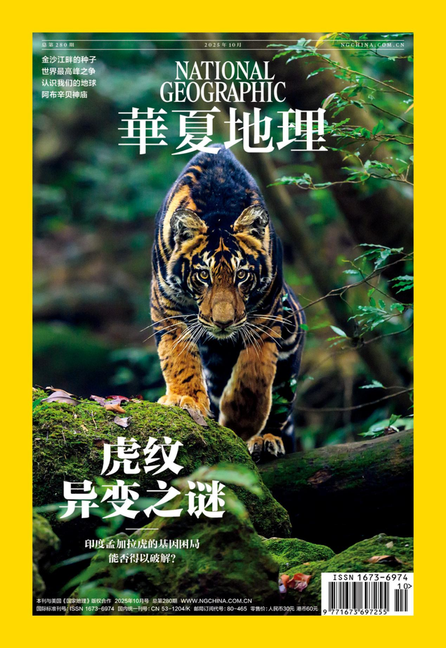 虎纹异变之谜