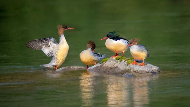 央视《大美中国》爆火23秒！这座“仙人秘境”藏不住了，赶紧安排！