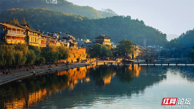 你也在追寻什么吗？也许答案就在下一片枫叶里