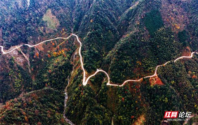 从“十八拐”到齐眉界，一条森林公园里的红色风景线