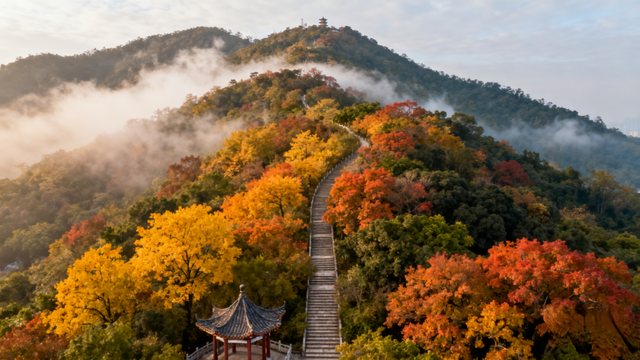 国庆出游新选择！丽水机场首次开启长假航线