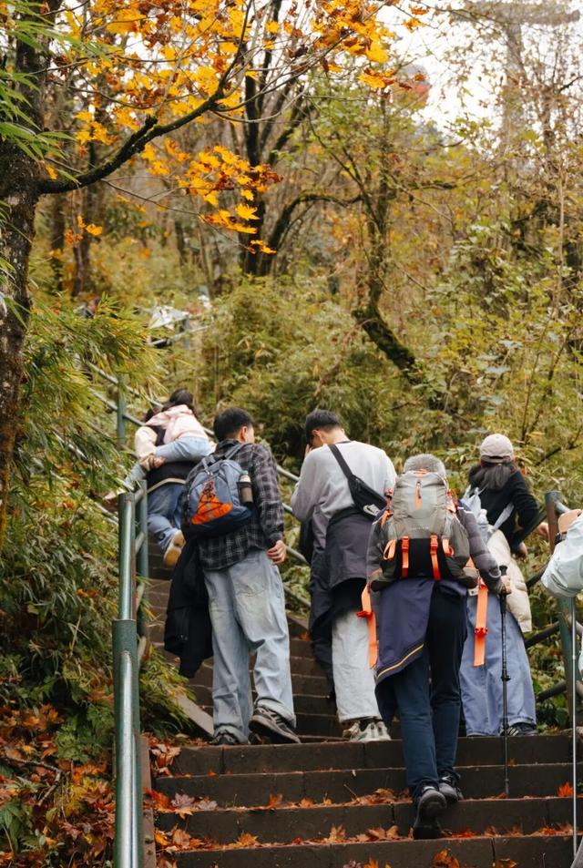 秋假必冲！瓦屋山免门票赏秋，徒步挑战拿奖牌！
