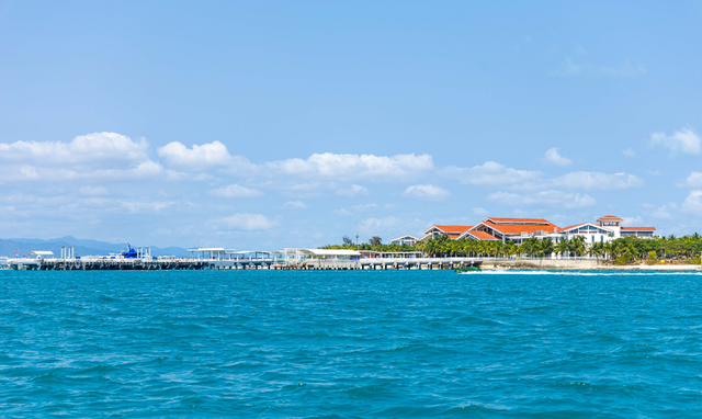 5000本！免费发放