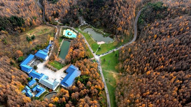 广元群山红叶如霞似火 迎八方来客尊享独有的秋韵与风情