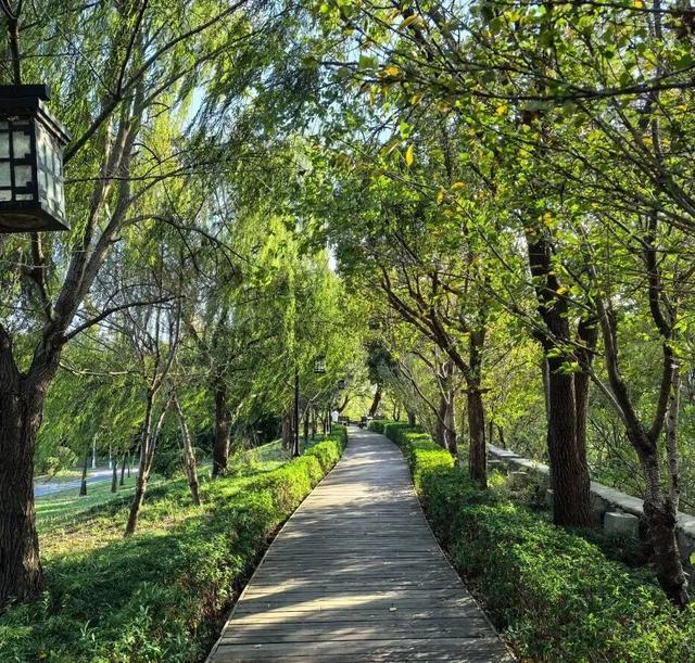 @高邮人 邀请您找寻心中的……