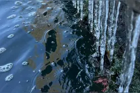 西湖一结冰，杭州人就会提起1977年！什么样的天气才能让西湖“冰冻”？图片