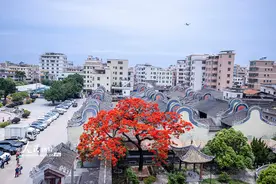 广东广州：凤凰花开岭南建筑图片