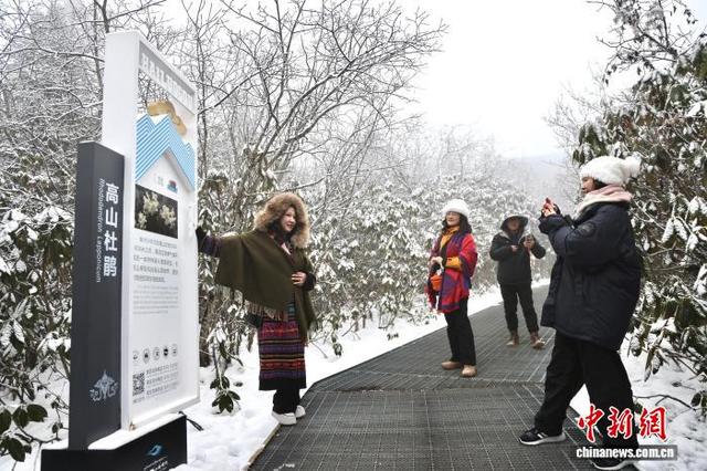 海外华媒领略四川海螺沟初冬之美