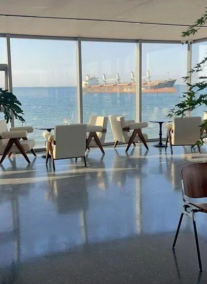 冬天！所有人都该来荣成见一见“永不失约”的布鲁威斯