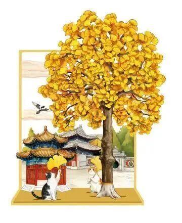 绝美！北京秋季颜值已达巅峰！这样定格最美秋天！