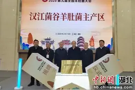 2025第九届全国羊肚菌大会在湖北襄阳召开图片