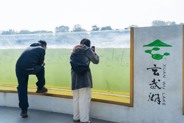传疯了！玄武湖“大鱼缸”来了
