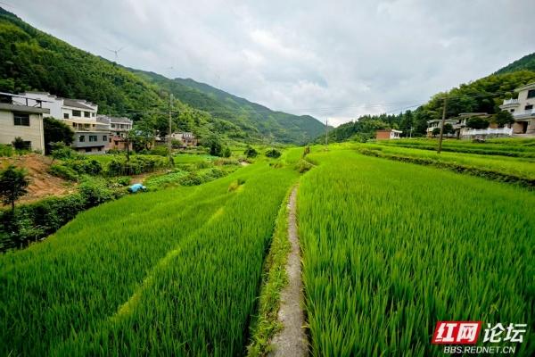 公交叩开山门，公交串起的乡村漫游记