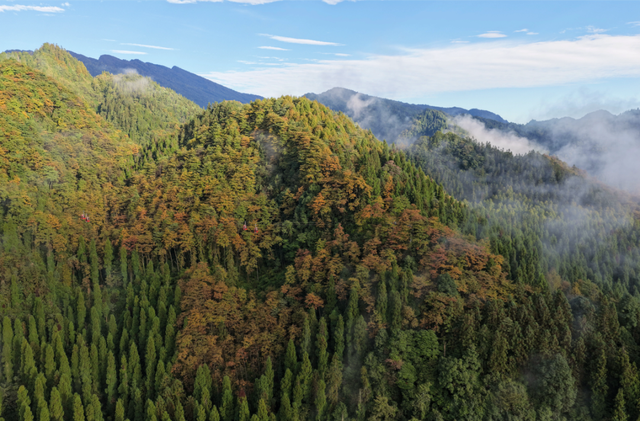炸裂返场！瓦屋山春夏奖牌 “重现江湖”，这次不抢真的“亏哭”！