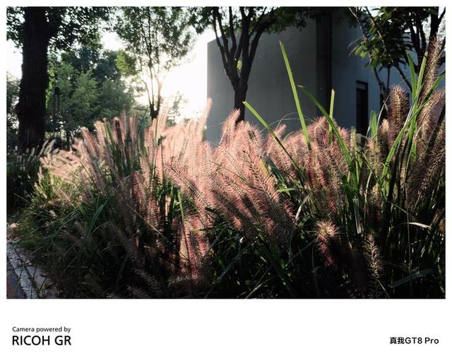 真我 GT8 Pro 评测：理光联名街拍利器，真我太懂年轻人了