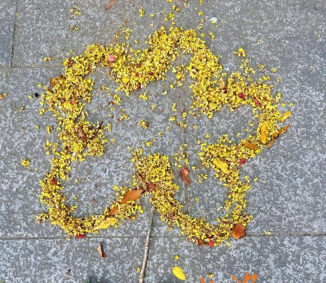 别宅啦！去江陵的街头“捡秋”吧