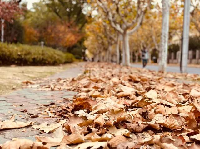 还有一周，快去打卡