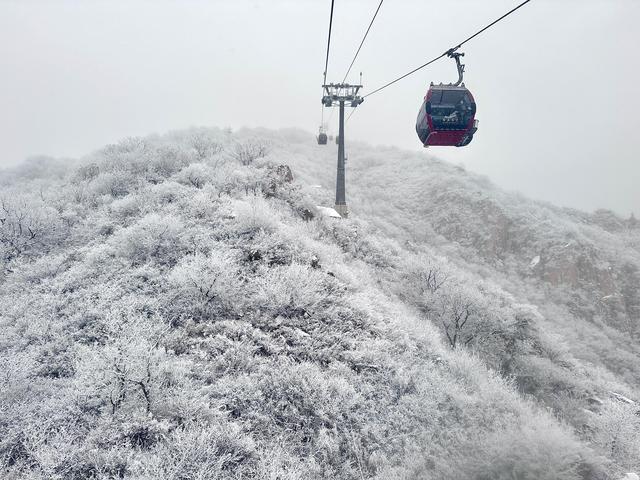 美图｜长城、世园、延庆奥园处处雪景如画