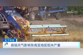 一路“狂飙”！这一国家，米价大涨！什么情况？图片