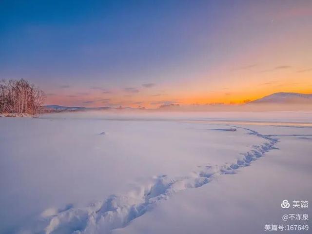 冷极秘境——2025年呼中的冬雪魅景