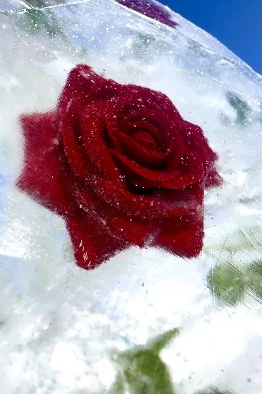 十一月 你好！十一月 期待！