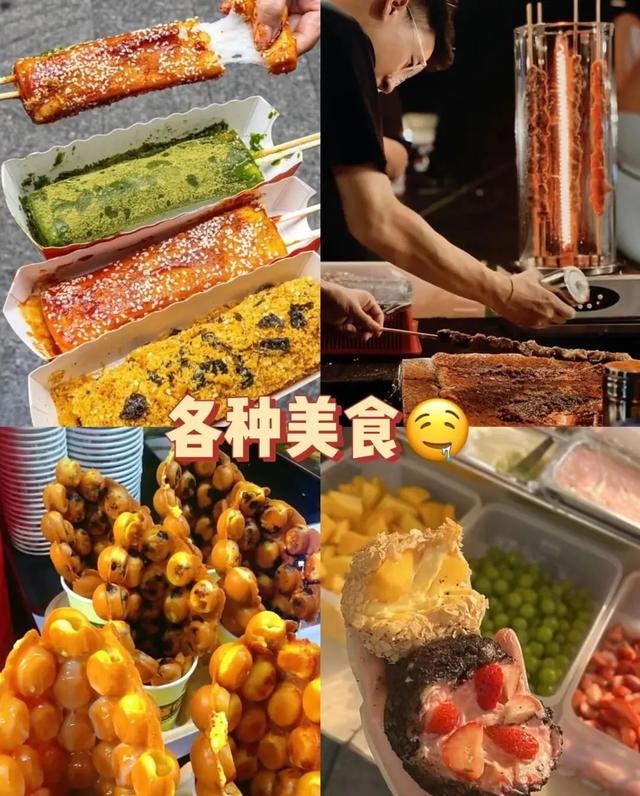 福利来袭！每天2张！鄂尔多斯野生动物园+海洋馆免费畅游→
